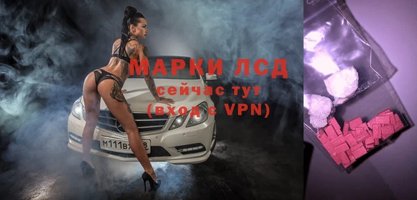 трава Абаза
