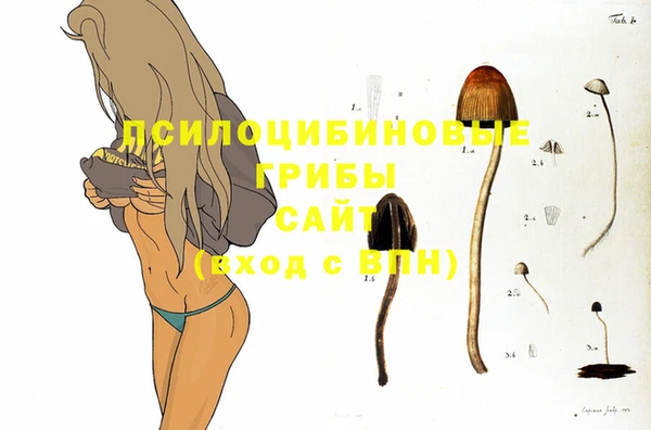 скорость Абинск