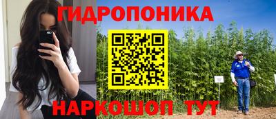 ALPHA PVP Дубна
