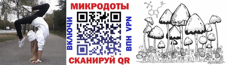 Галлюциногенные грибы Psilocybe  где можно купить наркотик  Новочебоксарск 