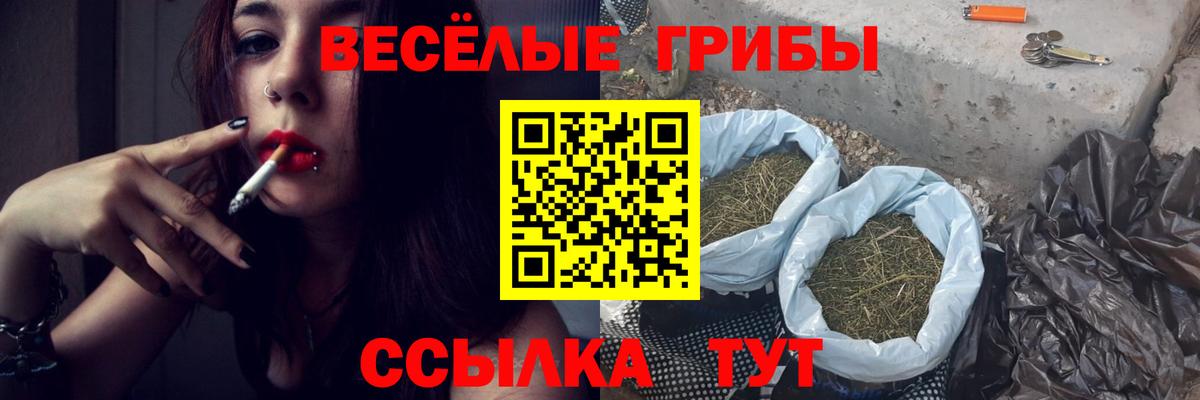 Псилоцибиновые грибы MAGIC MUSHROOMS Новочебоксарск
